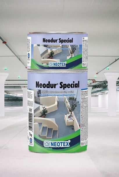 Neodur Special | Garage Floor Polyurethane Coating 
